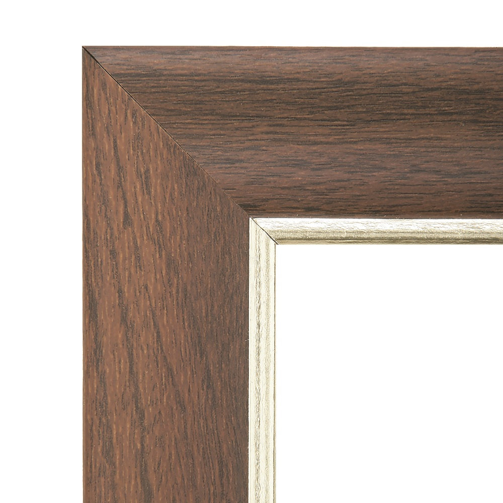 STYLE B - WALNUT VINYL FRAME W/GOLD ACCENTS 6/BX