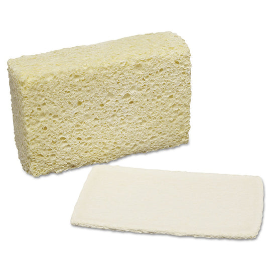 7920002402555 COMPRESSED CELLULOSE SPONGE BX