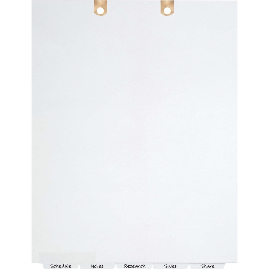 WRITE AND ERASE TAB DIVIDERS FOR CLASSIFICATION FOLDERS, 5 TAB