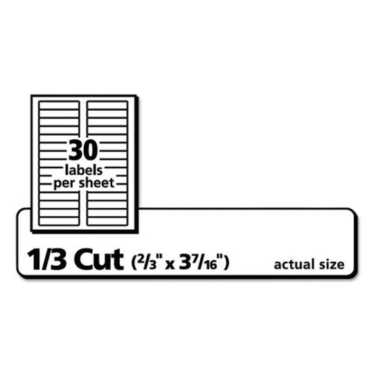 PERMANENT TRUEBLOCK FILE FOLDER LABELS W/ SURE FEED TECHNOLOGY