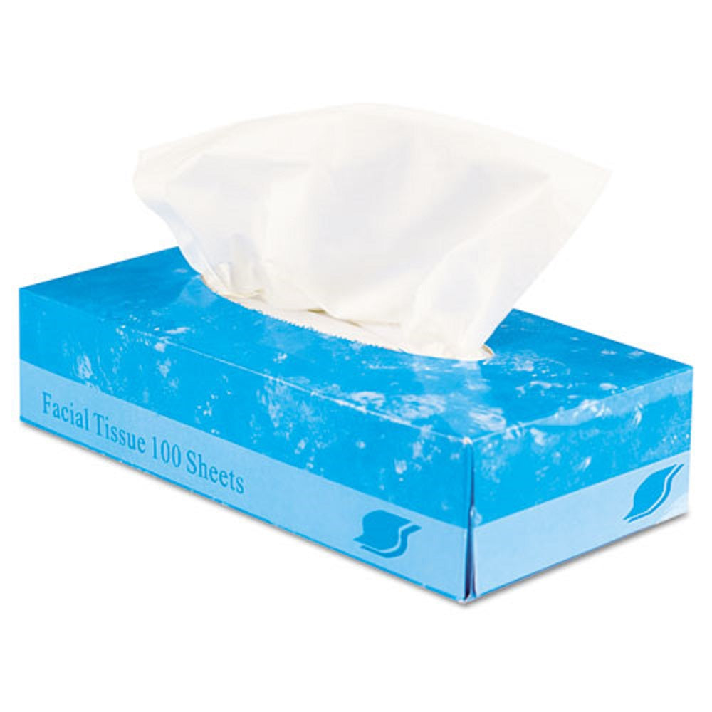 GEN BOXED FACIAL TISSUE, 2 PLY - WHITE - 100 SHEETS/BOX